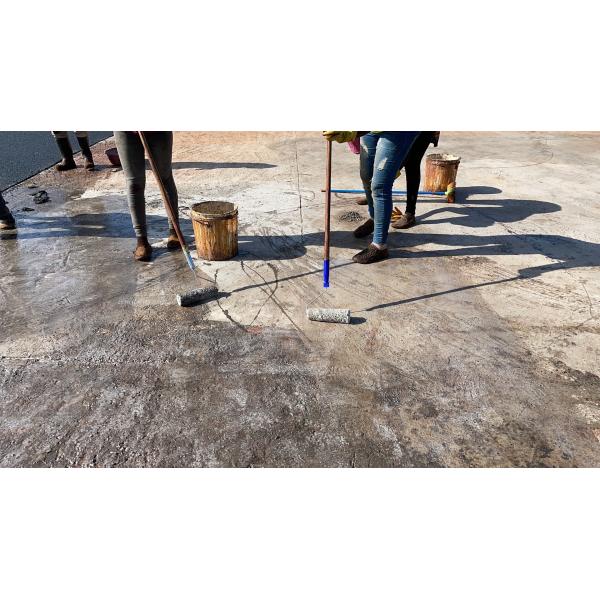 Плотность следа 10 год Jogging материальная низкая для превосходного охвата