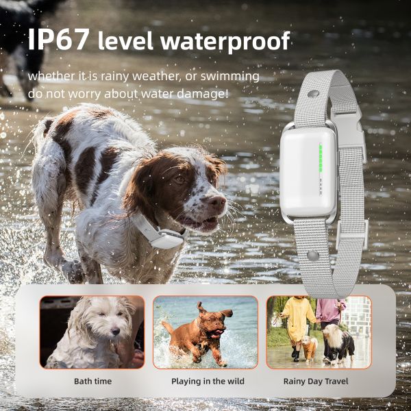 Waterproof IP67 Rechargeable Eco-Friendly Nylon Fashion Plastic 1000m Remote Control Dog Training Collar Shock-Free Vibration