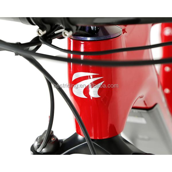 Дистанционное управление электрический велосипед M510 Средний привод и 48V 13Ah литий батарея