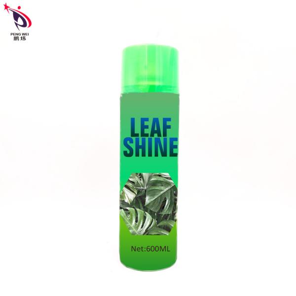 Multiscene Tinplate Leaf Shine Spray Green Bottle Color Eco Friendly