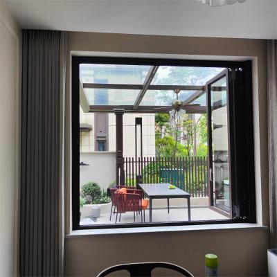 Mosquito Fly Insect Proof Fiberglass Screen Window Retractable Window Fly Screen Window Easy Install