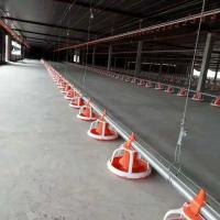 Sistema automático de alimentação de bandeja de frango de corte de aves para casa de fazenda de piso térreo China fábrica