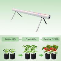 IP65 Under Canopy Grow Lights Hydroponics Commercial LED Grow Light For Vertical Farming