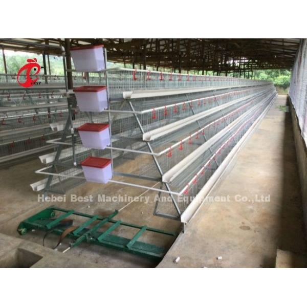 3 Tier 120 Birds And 4 Tier 160 Birds Layer Battery Cage System For Uganda Tanzania Poultry Farm Sandy