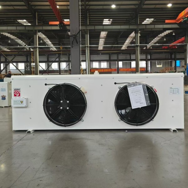 Space-saving DL40 Air Cooler for Medium-sized Food Cold Room