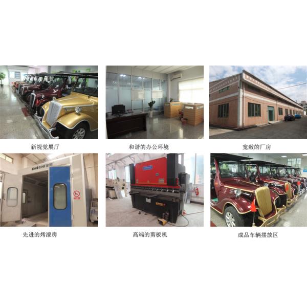 Корабль электроэнергетики Seater коробки 2 груза полезной нагрузки китайца 500kg с легковесом мотора DC