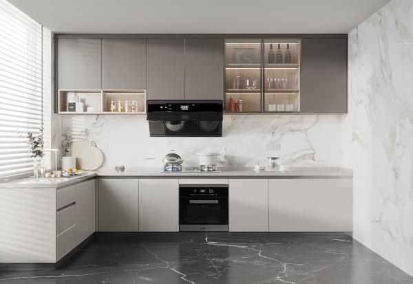 Hidden Drawer Guide Rail Modern European Style Kitchen Cabinets Matt White Modern Shaker Style Kitchen