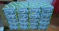 Rodamientos de motor resistentes al calor para motores de alto rendimiento 6D22 ME052488 CB-1803 8DC9 31219-32010 CB-1804 6D16 ME032518