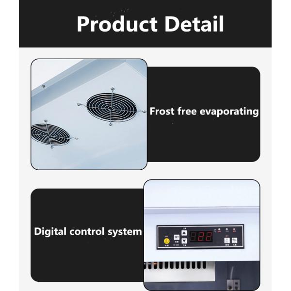 Arsenbo Antiwear Double Door Glass Fridge , Electric Supermarket Display Fridges
