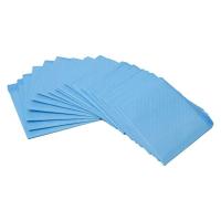 Pads de treinamento de cães de cores personalizadas Super absorventes Pads extra grossos de mijo para cães