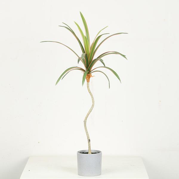 Clear Texture Artificial Bonsai Tree 42 CM 65 CM 76 CM Green With Red Side