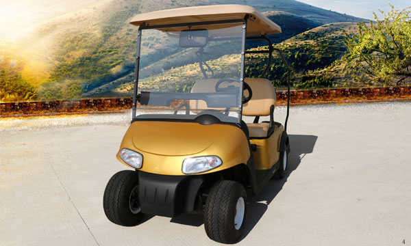 Left Hand Drive 2 Seats Electric Car Golf Cart With Deep Recycle Batteries