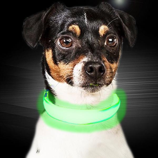 Pet Usb Rechargeable Led Collar For Dog , Custom Glow In The Dark Dog Collar