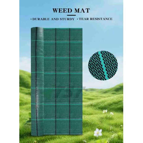 3.2oz Heavy Duty Green Color Pp Woven Weed Mat Ground Cover For Agriculture Gardening