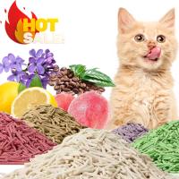 OEM Premium Litter de chat au tofu Litter de chat sans poussière verte
