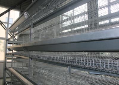 3 Tiers Chicken Layer Equipment / Galvanized Chicken Farm Poultry Equipment
