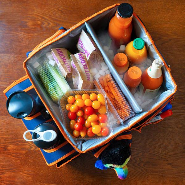 Hot selling Amazing design custom kids car seat organizer