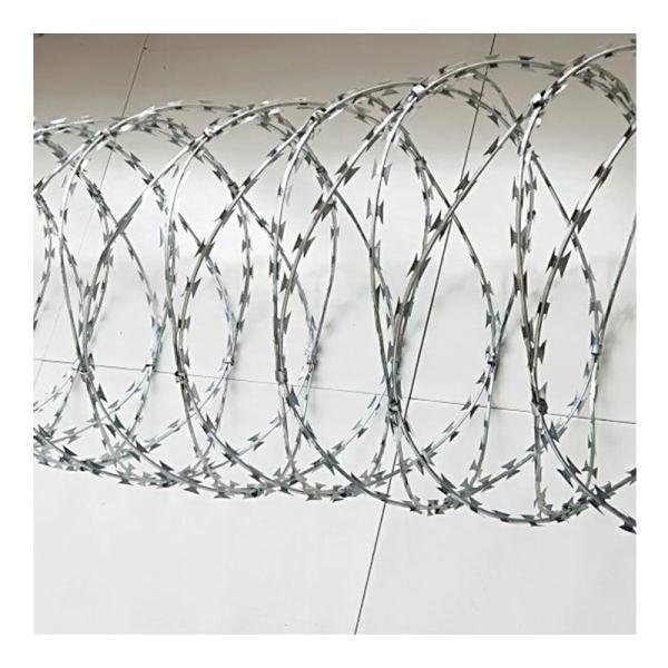 Concertina Wire Fencing Stainless Steel BTO-22 Security fence