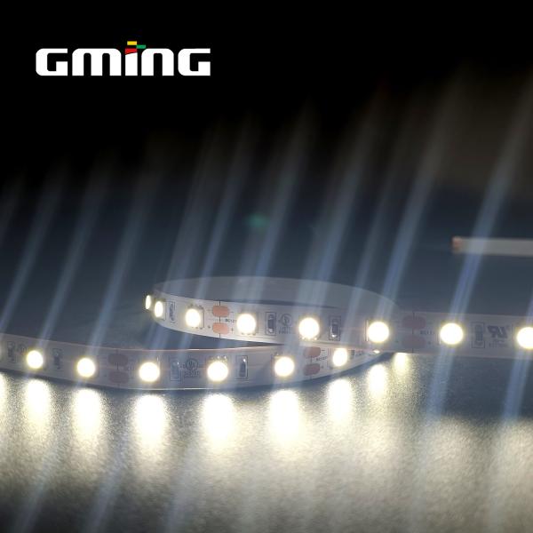 Low Voltage 12V 24V 5050 SMD LED Monochrome Water Lamp With Running Lamp