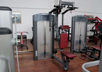 Equipamento completo do Gym do Deltoid peitoral de aço da parte traseira da mosca do tubo