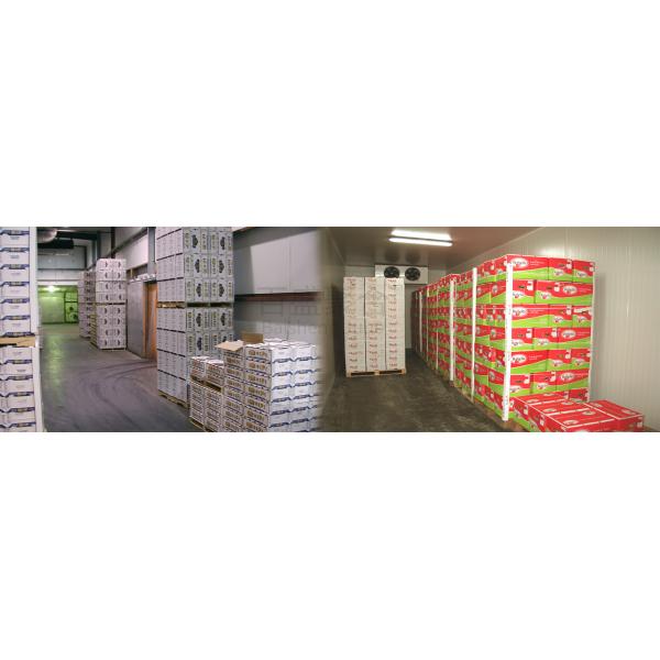 Хранилище холодов логистического склада с сетчатой структурой длинного протяжения и дизайном AutoCAD