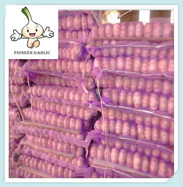 Snow White Garlic Natural White Fresh Garlic from China New season