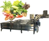 Máquina de lavar frutas e vegetais anti-erosão 50 Hz para indústria