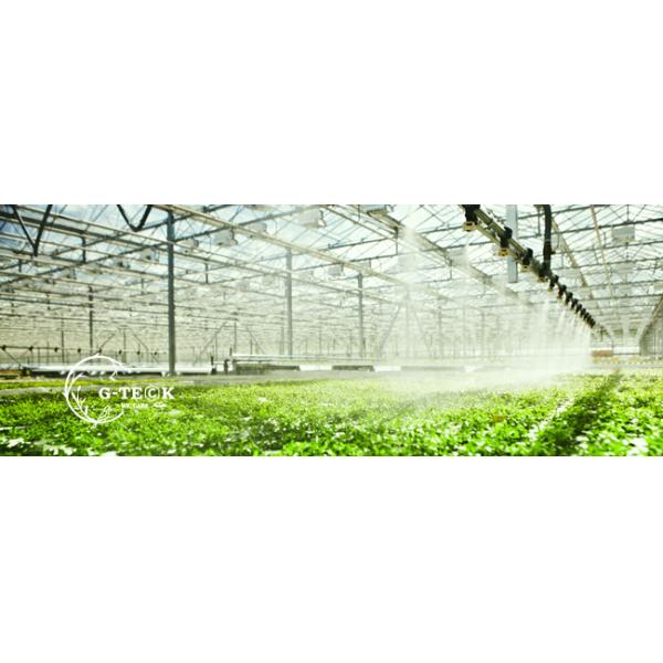 Light Brown Fish Protein Fertilizer