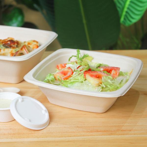 16 24 32oz Biodegradable Sugarcane Bagasse Bowl Fruit Salad Containers Box With Cover