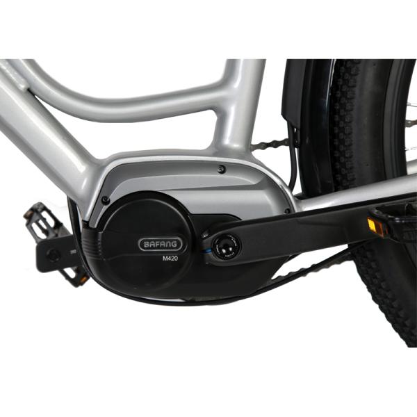 DOMANCA 750w Lady Electric Bike Sensor Smart Type and 18 Speed Gears for City Riding