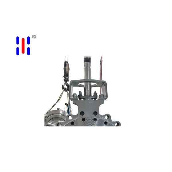 WCB 316 Double Eccentric For High Pressure Steam Regulating Station