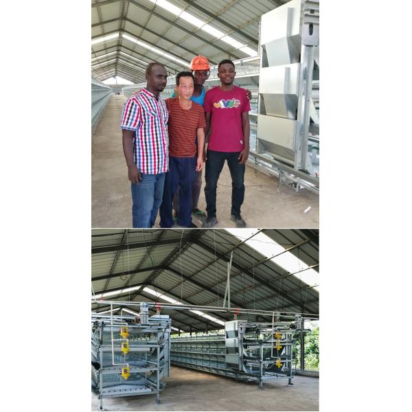 Chicken House Laying Hens Cage,Battery Chickens Layer Cages Automatic