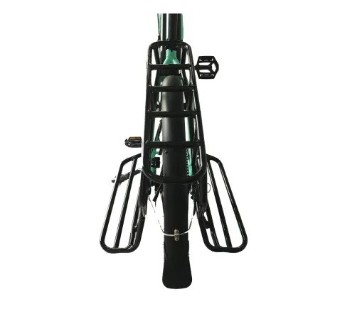20 Magnesium Alloy Frame Ananda Bafang MID Drive Electric Bike for Family or Cargo Delivery
