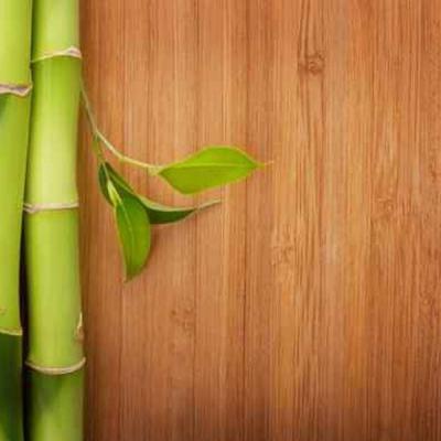 Modern Solid Bamboo Floor For Popular Long Wood Plank Flooring
