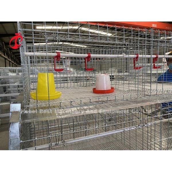 A And H Poultry Broiler Cage Raising Equipment For Day Old Chicks Sandy