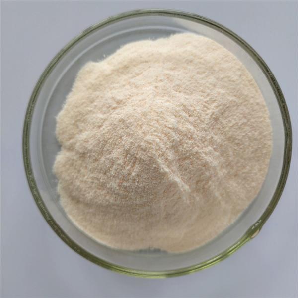 Wholesale Carica Papaya Fruit Juice Powder/Carica Papaya