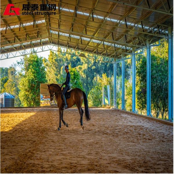 Prefab Steel H-Beam Horse Farm Building Custom Design