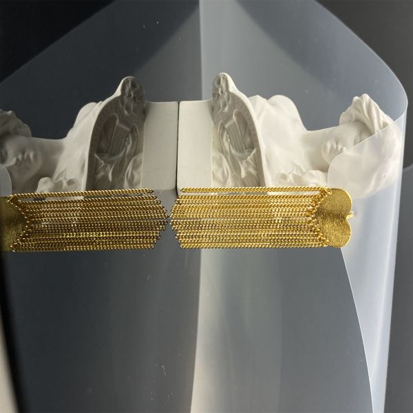 Sopesados pendientes de plumeria de oro