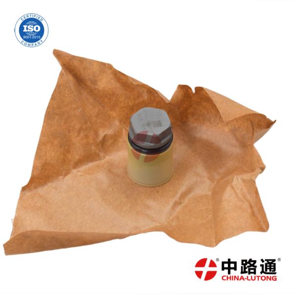 Common Rail Piezo Injector Control Valve Kit 1 110 010 024 for Buy  Pressure Relief Valve