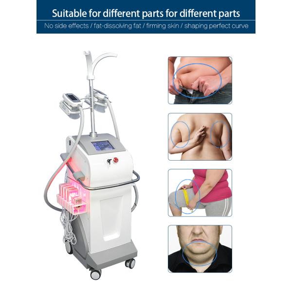 Салон липосакции машины красоты лазера Kryolipolyse жирного удаления многофункциональный