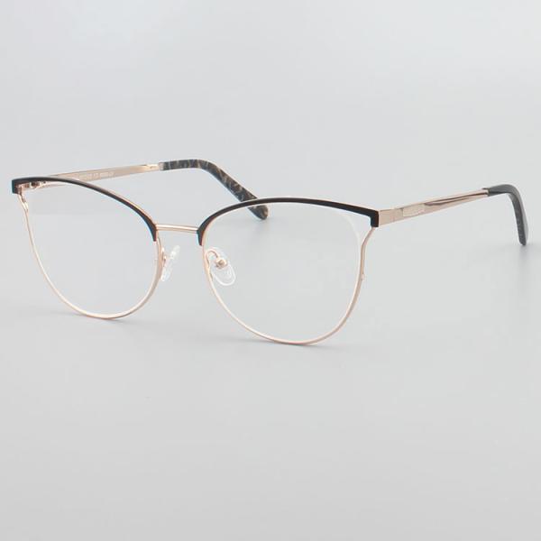 Classical Female Stainless Steel Metal Frame Cat Eye Glasses