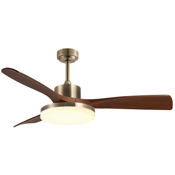 Modern 42/52 pouces ventilateur de plafond lumière 3 lames DC moteur télécommande commutateur corps de lampe en fer Noir/blanc Couleur