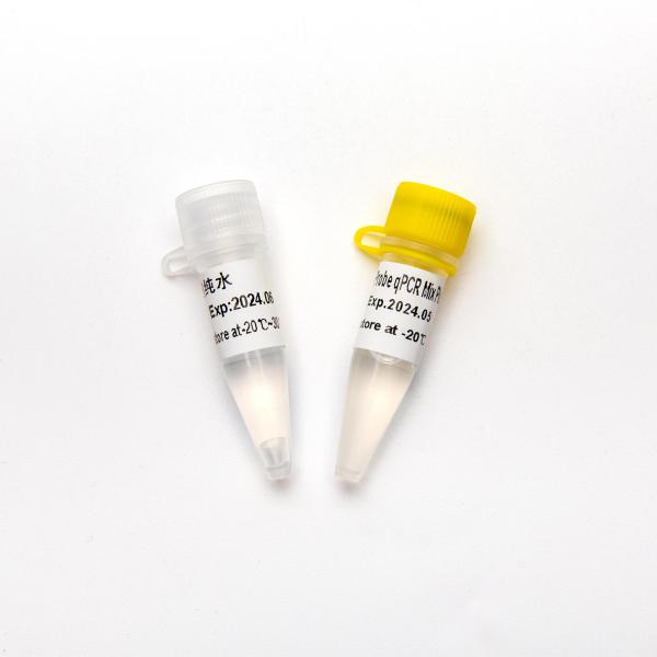 P2801-4 Concentrated Premix Direct Multiplex Probe 2× QPCR PCR Reagent Mix Plus With UDG