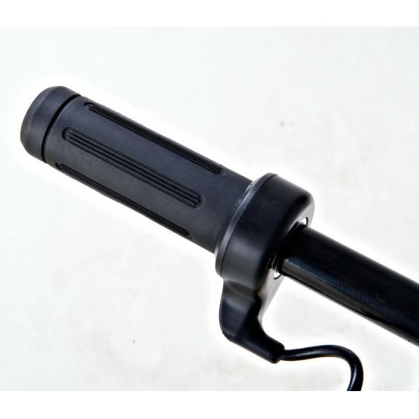 24V 100W 2 Wheel Mini Electric Scooter Foldable 15km/h