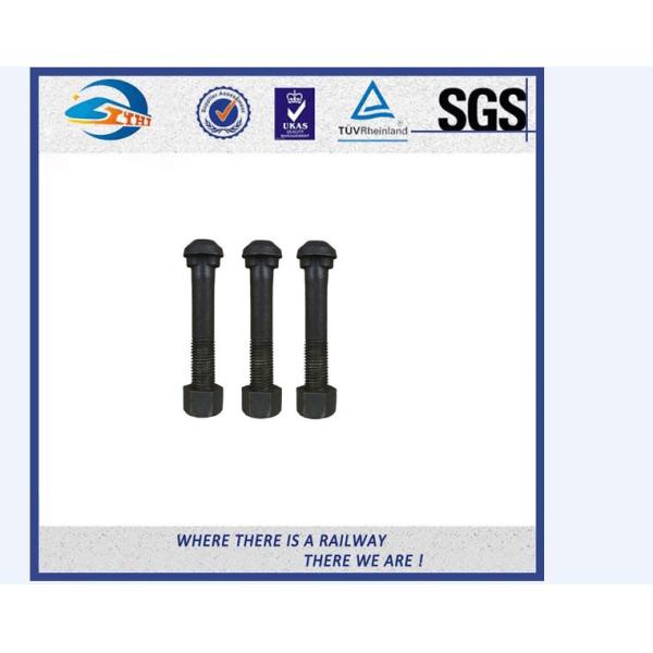 SGS BV Railway Fastener Hex Head Anchor Bolt HDG Railway Bolts