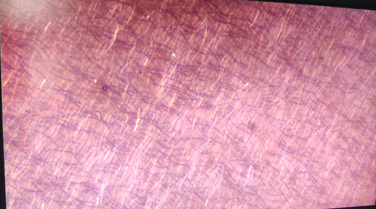 MX4R Ergonomic Metallographic Microscope with  chromatic aberration correction optical system