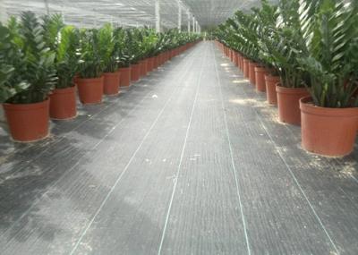 Black Color Geosynthetic Fabric PP 130g 1m Width Weed Barrier For Anti Grass