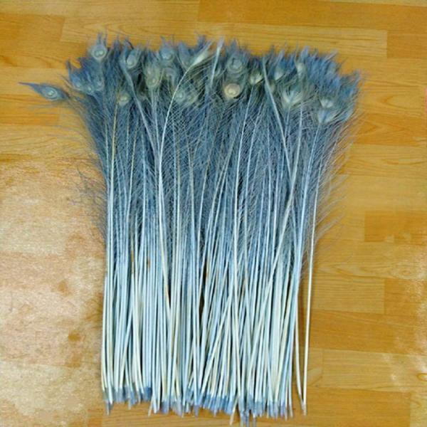 Espada de penas de pavão 25-30 polegadas para decoração de penas impressionante