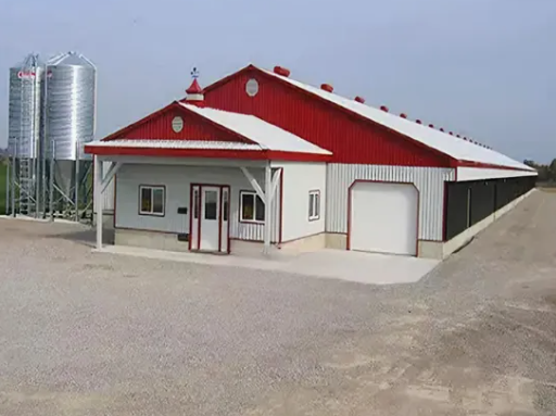 Low Cost Steel Structure Chicken House with Quick Assembly and Customizable Finishes for Poultry Farming