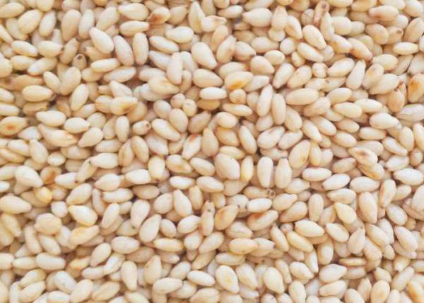 High Iron Calcium Organic Agricultural Products White Sesame Seeds 5% Moisture